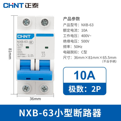 正泰(CHNT)小型断路器昆仑微型家用保护器NXB-63 2P 10A 10个装