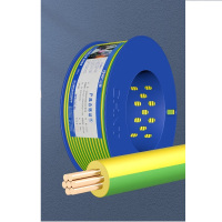 正泰(CHNT)电线电缆1芯阻燃电线100米 黄绿双色*ZR-BVR-2.5