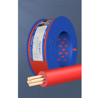正泰(CHNT)电线电缆1芯阻燃电线100米 红*ZR-BVR-6