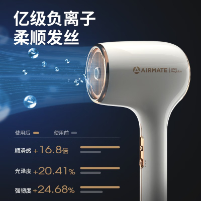 艾美特(Airmate)电吹风家用吹风筒 负离子不伤发 三重养护大风力速干低噪音吹风机 GH01