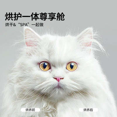 松下(Panasonic)猫咪吹风机狗狗自动吹干箱快速吹水烘护一体CP-JNDB1-W