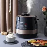 西屋(WESTINGHOUSE)锅智能预约多功能电压力锅WYL-0501