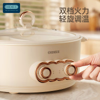 奥帝尔(OIDIRE)德国OIDIRE 鸳鸯电火锅ODI-DHG19