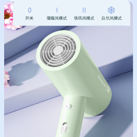 艾贝丽电吹风 ABL-DCF69豆蔻绿