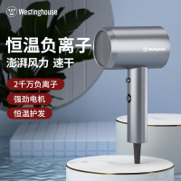 西屋(WESTINGHOUSE)负离子电吹风机H107