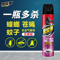 黑旋风杀虫剂喷雾300ml*2
