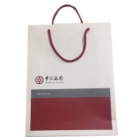 中行定制手拎袋(中)100只/件