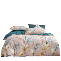 杉杉(FIRS)QFS-18822 60支精梳棉印花四件套 —流光漪彩 200x230cm