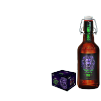 青岛啤酒 16.8度380ml*6*2瓶狮壮啤酒