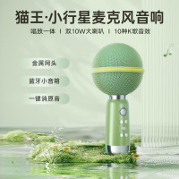 猫王灵感小行星麦克风 幽邃绿MW-X3