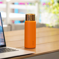 焖大师龙盛闷泡杯MD500T橙