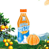 北冰洋PET桔汁汽水300ml*24瓶