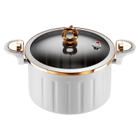 荣事达(Royalstar)龙转乾坤 福禄双至微压锅RG-WYG22YH 26.5cm