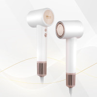 小熊(bear)家用高速电吹风DCF-D16U3 白