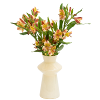 花点时间期待相逢(实物水仙百合1束72小时发货、电话保持畅通)