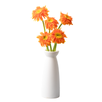 花点时间童心未泯(实物弗朗花1束72小时发货、电话保持畅通)