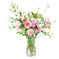 花点时间花晨月夕(实物玫瑰、小菊、康乃馨、水仙百合等花材,72小时发货、电话保持畅通)