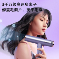 小熊(Bear) 电吹风DCF-B15W1