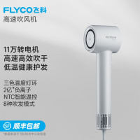 ‪飞科(FLYCO)高速电吹风FH6351