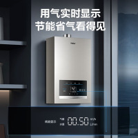 海尔(Haier)燃气热水器JSQ31-16FX3U1