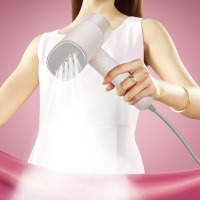 小画仙 手持挂烫机LCGT-1003