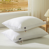 洁丽雅 家用枕头枕芯枕头芯纯白对枕磨毛枕芯 白色 48*74cm*2 JLY-3601