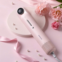 大宇(DAEWOO)家用旅行速干头发 电吹风DYCF-12W80/香缇粉/礼邮外