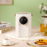 大宇(DAEWOO)家用热水壶多段保温3L容量电热开水瓶 DYSP-3018 晴雪白