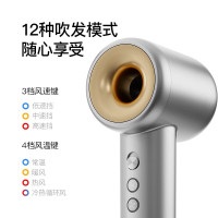 酷鲨 大风量负离子低噪 11W转高速无刷电机 护发高速吹风机HD10月光银