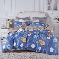 红豆家纺生态活性四件套HDJ-2202 漫步时尚 被套200*230床单230*250