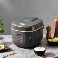 新飞(Frestec) 智能电饭煲 FTFB-R123