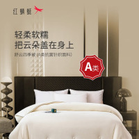 红蜻蜓 舒云四季被HQT-XW6301 200cm*230cm
