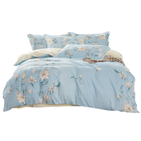 多喜爱(Dohia)全棉优选四件套 幽兰花语 被套*1 床单*1 枕套*2