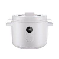 龙的(longde) 煮粥神器煲汤锅炖汤锅 多功能电炖盅 LD-DG2535