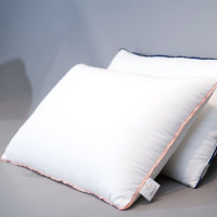 慕思(DeRUCCI) 星级酒店云柔对枕PSZ1-170//48*74/800g/12个1箱