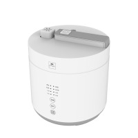 康宁电压力锅 WK-YG2501/KZ