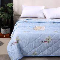 赛尔加 艾草驱蚊抗菌被 150*200cm