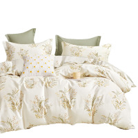 芳恩 TH-Z1037 星享全棉四件套 床单230×245cm 被套200*230cm 水木年华 礼盒装