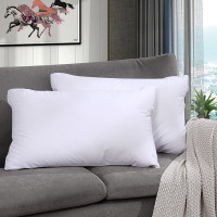 富安娜 家纺磨毛枕芯枕头 健康1+1枕 74*48cm(550g)