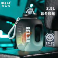 物生物(RELEA) 曼彩太空杯2500ML JV012169-2500-ES暮冬岩黑