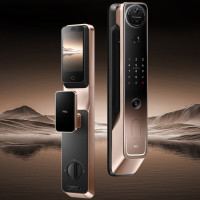 TCL 3D人脸识别双摄分布式猫眼4.5寸屏 智能门锁C10RPro