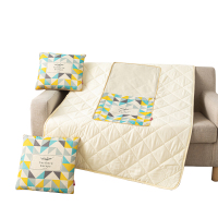 芳恩 FN-R742 数码印花亚麻抱枕被 枕40×40cm被100×150cm 现代派