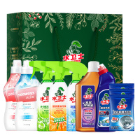 水卫仕(SHUIWEISHI) 家居除菌清洁10件套装 S37