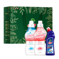 水卫仕(SHUIWEISHI) 家居除菌清洁3件套装 S99
