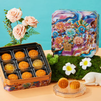 荣诚 月饼礼盒 幻彩星愿540g