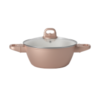 帝伯朗沐光金丝汤锅22cm DBL-HYBT01
