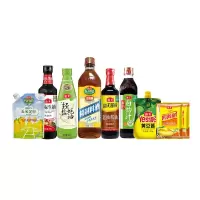 海天 调味品组合-B 1.698G+1.8ML