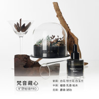 CITTA 旷野秘境系列晶石香薰礼盒 旷野秘境pro-梵音藏心30ml