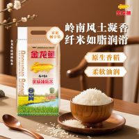 金龙鱼 南方大米 优质油粘米 煲仔饭米 籼米 20斤