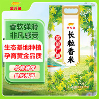 金龙鱼东北大米 黄金产地长粒香米10斤